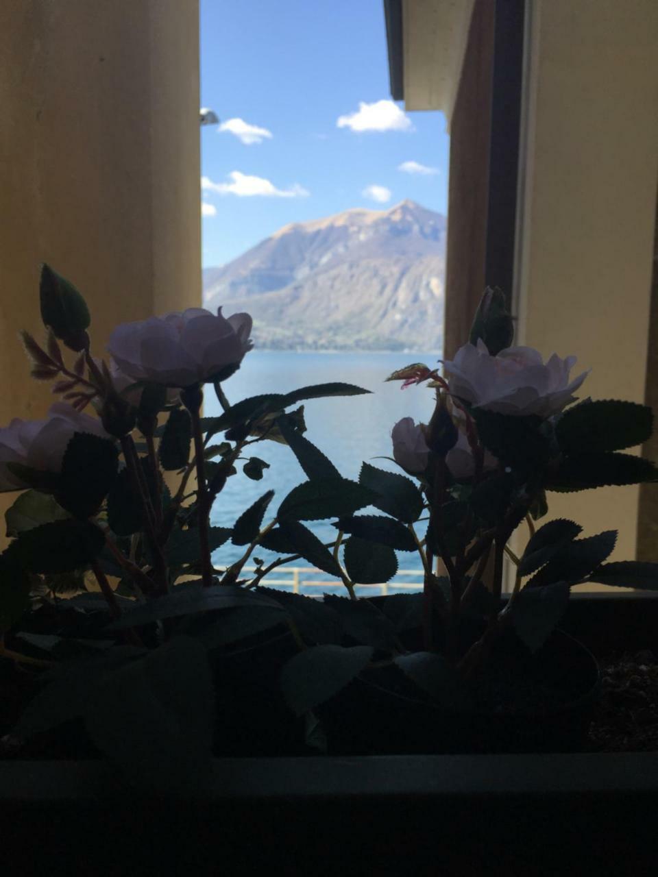 Cozy Garden Retrait Leilighet Varenna Eksteriør bilde